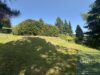 Sonniges Wochenendgrundstück in Gesees - Garten