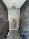 Exklusives PENTHOUSE - im Zentrum Bayreuth - Bad 5.OG