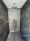 Exklusives PENTHOUSE - im Zentrum Bayreuth - Bad 5.OG